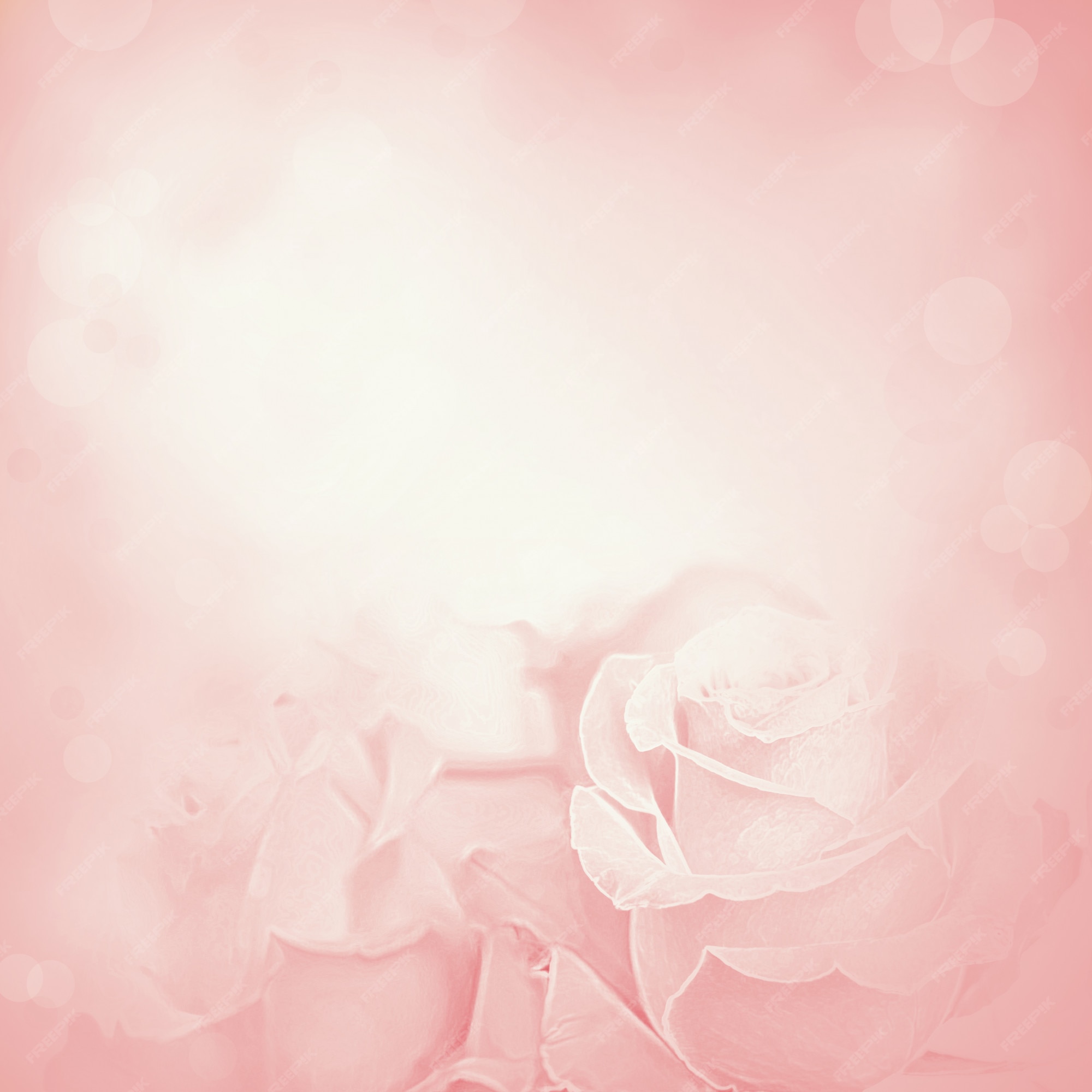 Rose Background Images - Free Download on Freepik