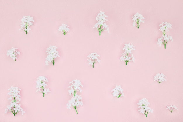 Pink background with white lilac flowers