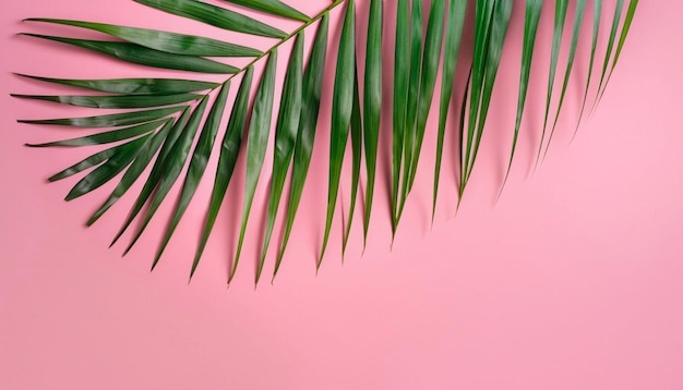 pink barbie concept background