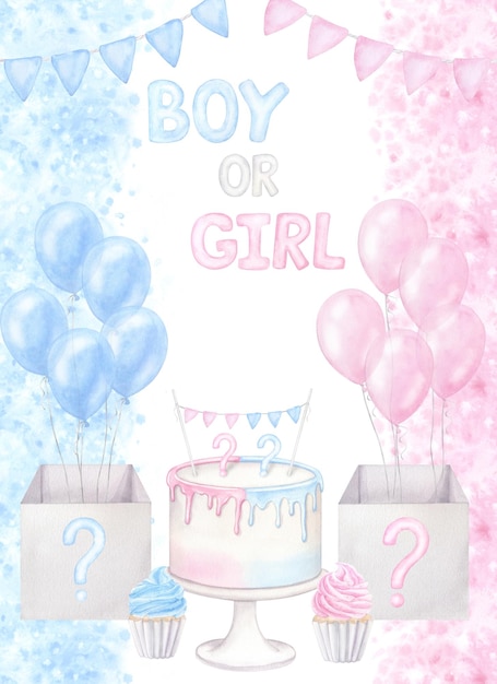 Pink blue card gender reveal party invitation Boy girl Hand drawn watercolor illustration isolated