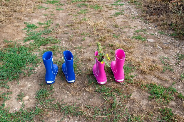 Pink and blue rubber boots in the field with grapes