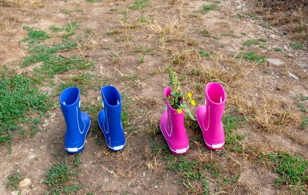 Pink and blue rubber boots in the field