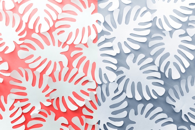 Pink blue white background with paper tropical botanical flora leaves