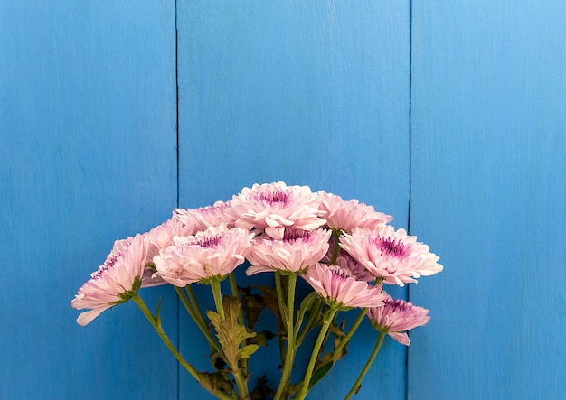 写真 ピンクの花束青い木のテクスチャの青の菊の花。