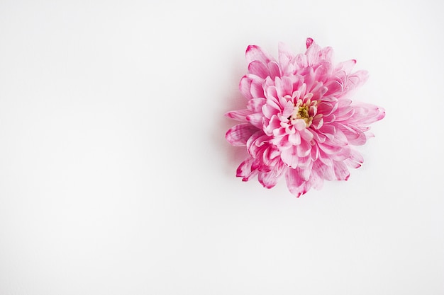 pink bouquet of flowers 