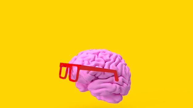 The pink brain and red glasses for sci or education concept 3d renderingxa