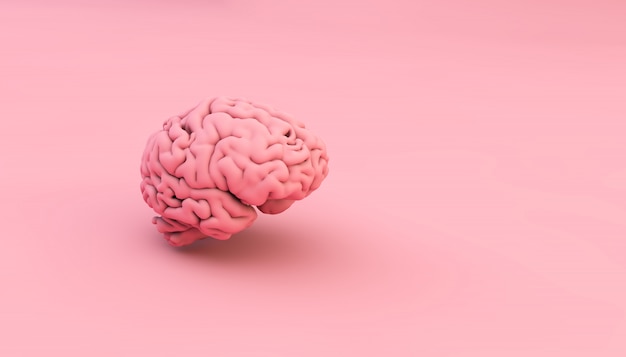 Pink brain