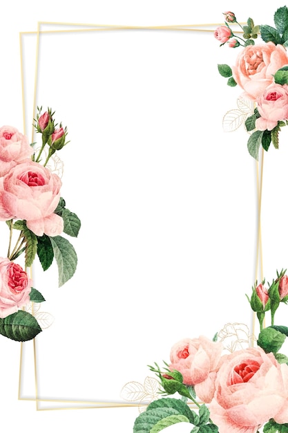 pink cabbage rose pattern on a gold frame design element