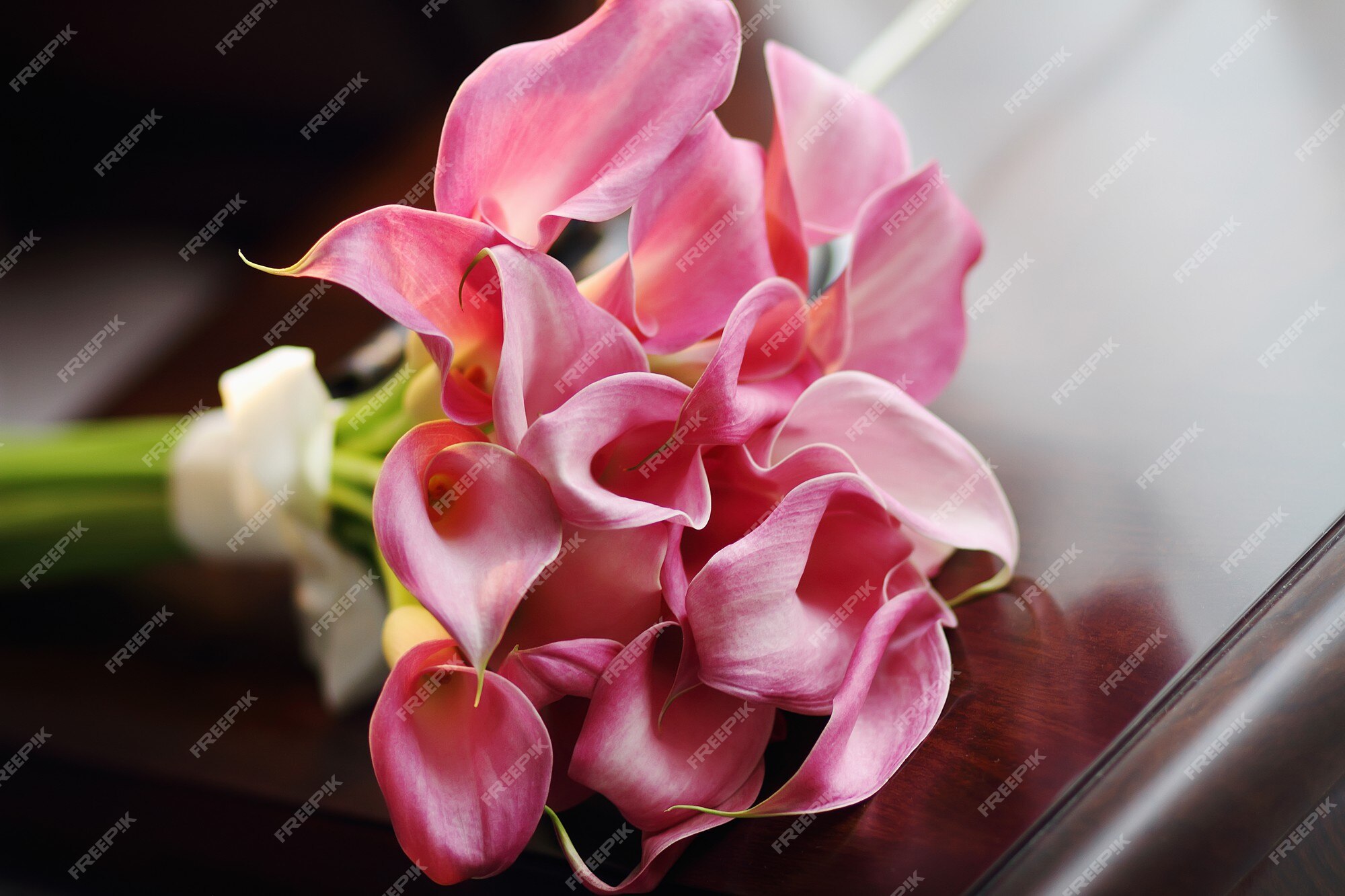 Page 36 | Flower Calla Images - Free Download on Freepik