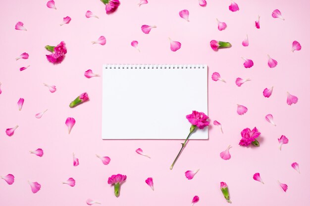 Pink carnation flowers and and petals with open notebook