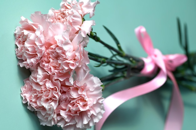 Pink carnations on a greenblue background Bouquet of garden carnations close up selective focus