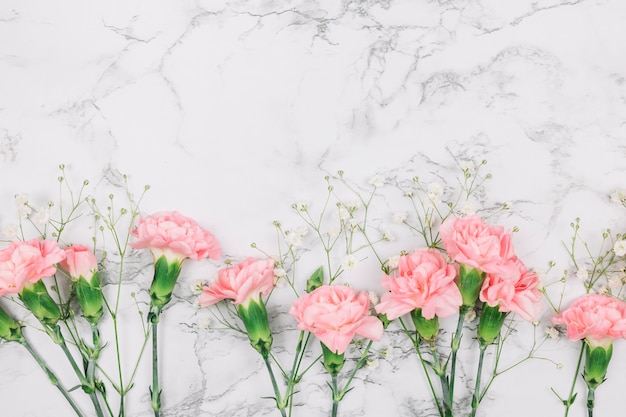 Foto garofani rosa e fiori gypsophila su marmo con texture di sfondo