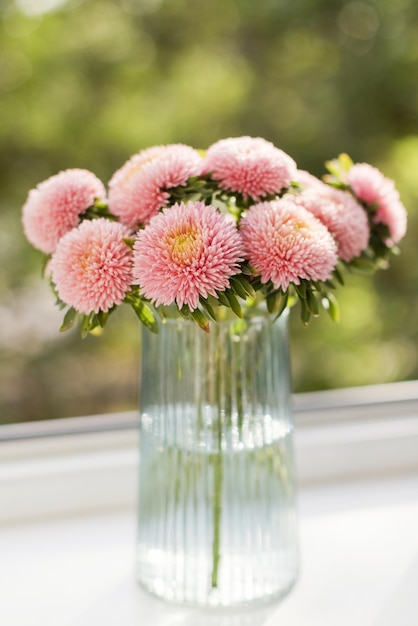 Pink chrysanthemum aster bouquet flowers