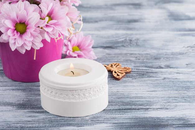 Pink chrysanthemum in concrete pot