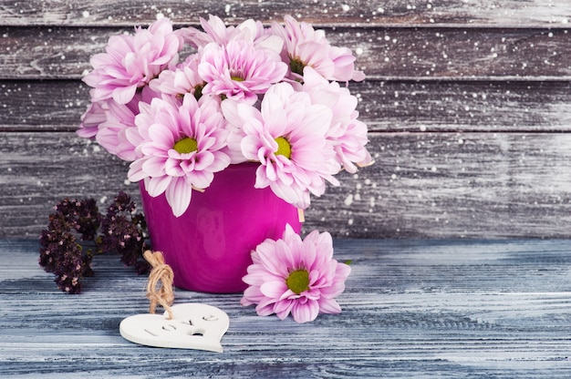 Pink chrysanthemum in concrete pot