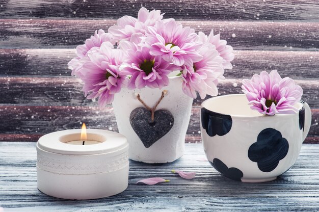 Pink chrysanthemum in concrete pot