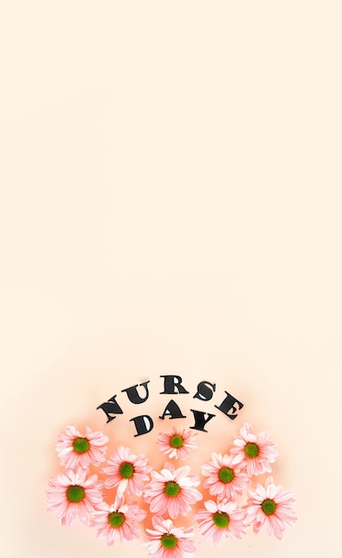 Pink chrysanthemums on a pastel pink background and stylish letters top view with copy space floral