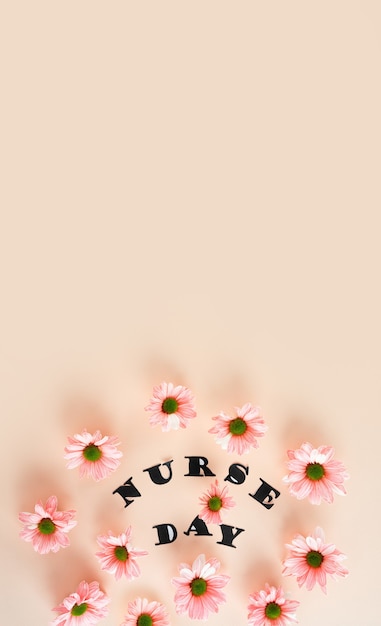 Pink chrysanthemums on a pastel pink background and stylish letters top view with copy space floral