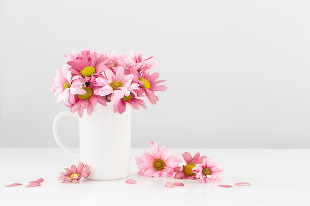 Pink chrysanthemums in white cup on white background