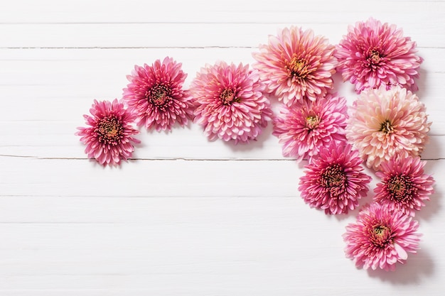 Pink chrysanthemums on white wooden wall