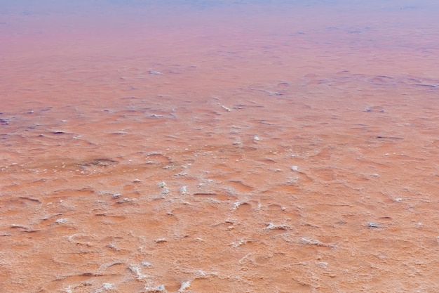 Foto fondo naturale del paesaggio del lago salato dell'acqua di colore rosa