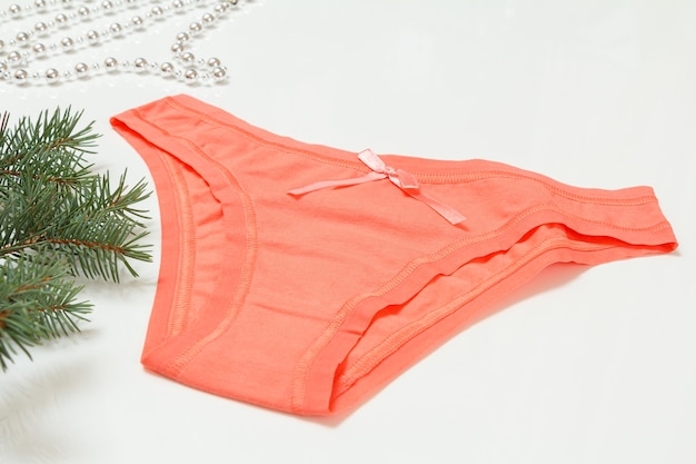 pink cotton panties on the white background with a branch of fir tree. woman underwear set.