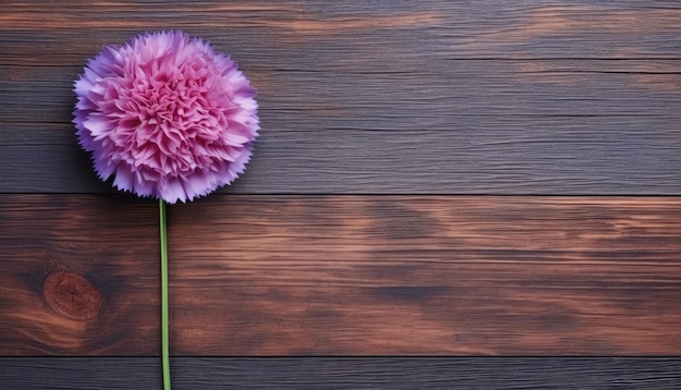 Pink dahlia flower on wooden background Top view with copy space