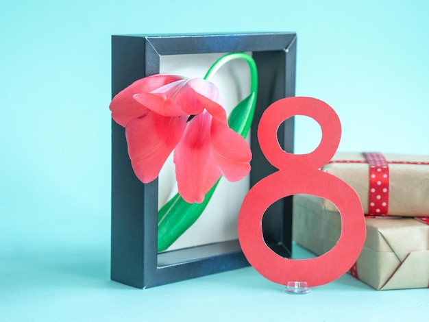 Photo a pink delicate tulip in a cardboard frame stands on a blue one with the number 8 gifts