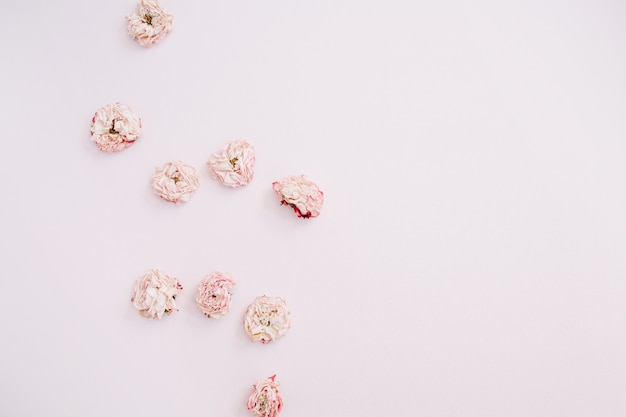 Pink dry roses buds arrangement on pink