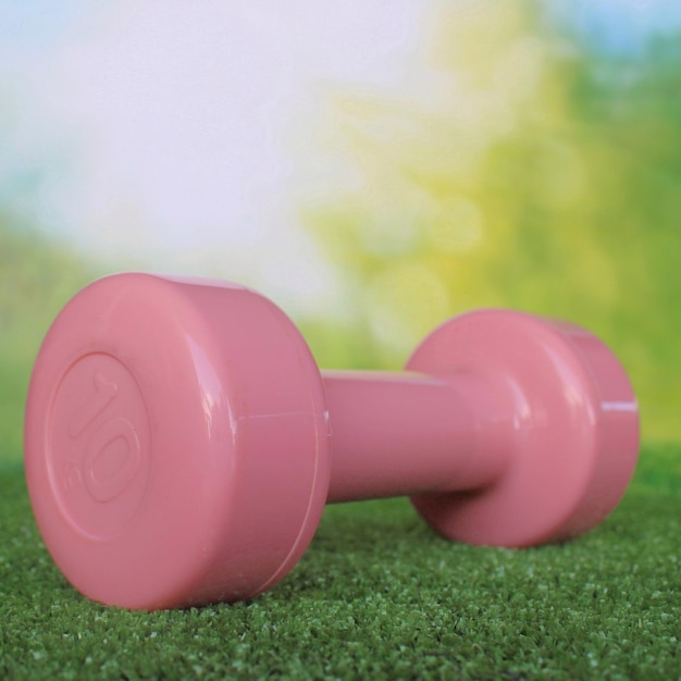 Pink dumbbell on green grass