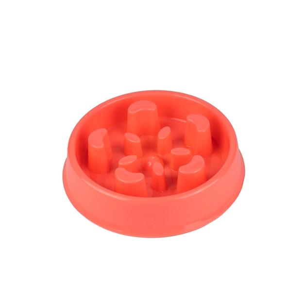 pink duo  bowl feeder for dogs