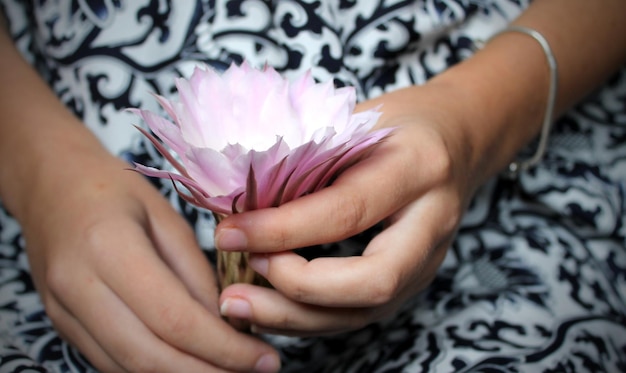 Pink exotic flower in the hands