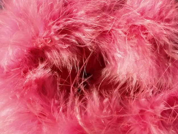 Pink faux fur or pink colored natural bird feathers closeup Light feathers boa Delicate texture Greeting card Happy Valentines Day Collar from a women's or girl's jacket Bright pink or color