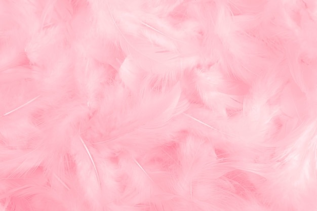 Pink feathers texture as background.