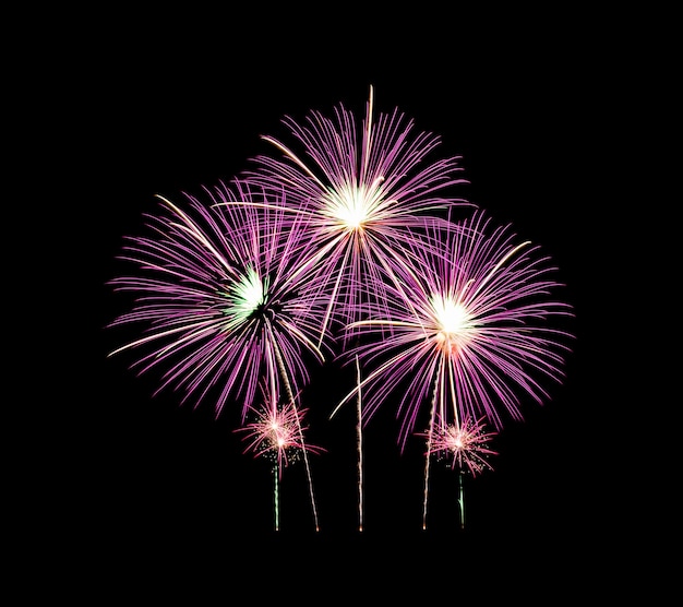 Pink fireworks light up and explosion on black sky