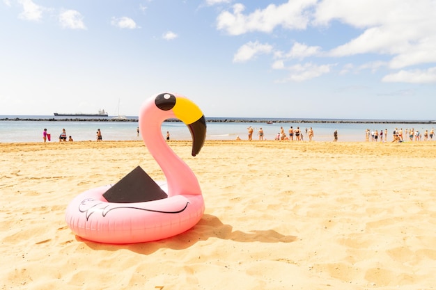 Pink flamingo on beach