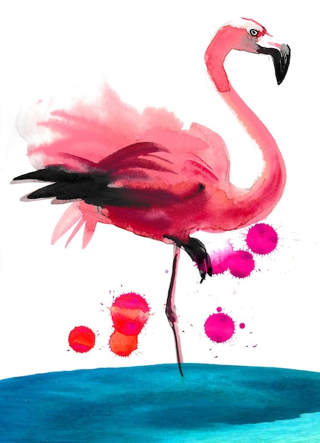 Photo pink flamingo bird ink and watercolor drawing