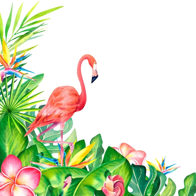 Photo pink flamingo composition of monstera palm branch and plumeria on an isolated background an exotic bird watercolor illustration