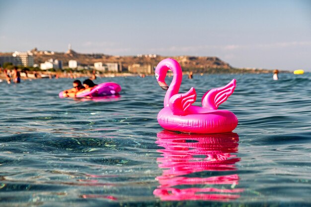 Pink flamingo inflatable on the sea