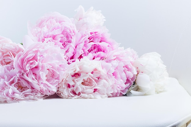 Pink floral background with fresh pink peony flowers on white