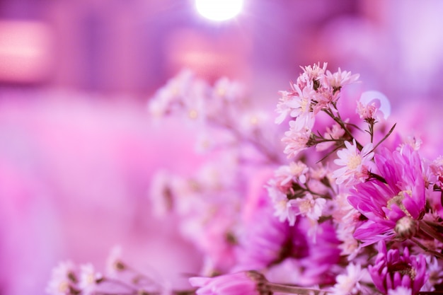 Pink flower on beauty background design for wedding background Love