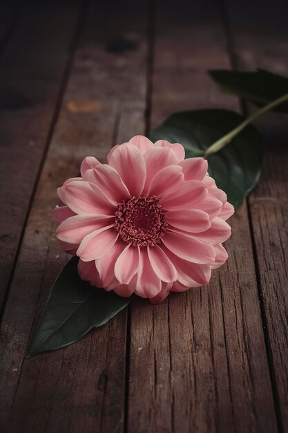 Pink flower of Billbergia on a brown wooden surface vintage toning