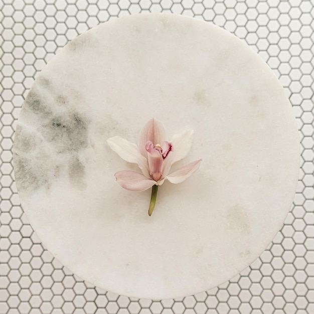 Pink flower bud on round marble stone table on white hexagon mosaic tile floor background