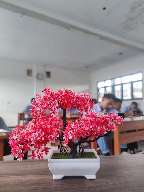 Photo pink flower over the class