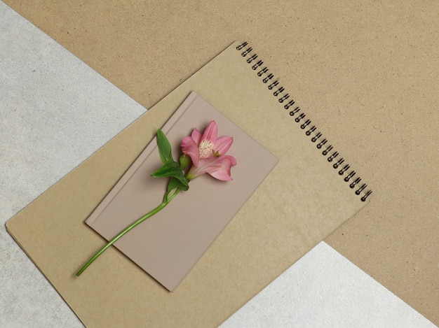 Pink flower, craft album on grey and  brown background