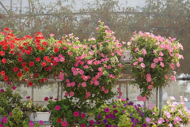 家の装飾をぶら下げピンクの花の装飾