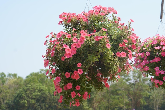 家の装飾をぶら下げピンクの花の装飾