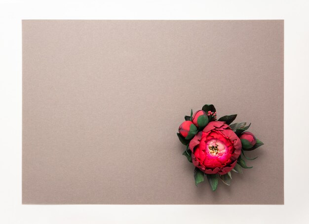 pink flower on grey