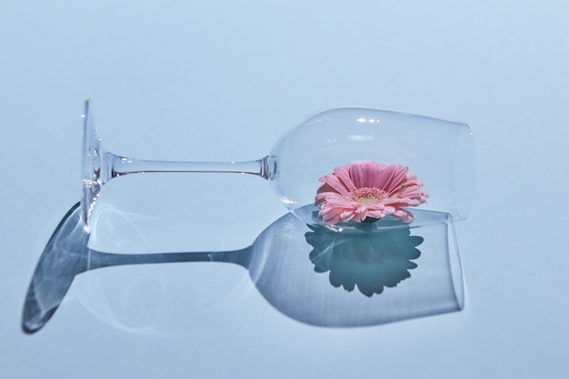 Фото Розовый цветок в стакане на синем фоне весенней концепции