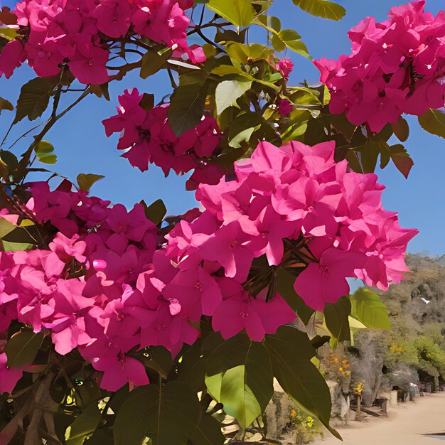 Photo a pink flower is in front of a blue sky